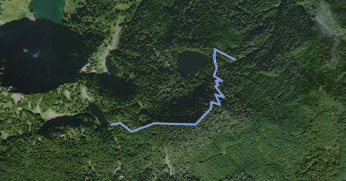 Маршрут Pinnacle Lake Trail на спутниковом снимке