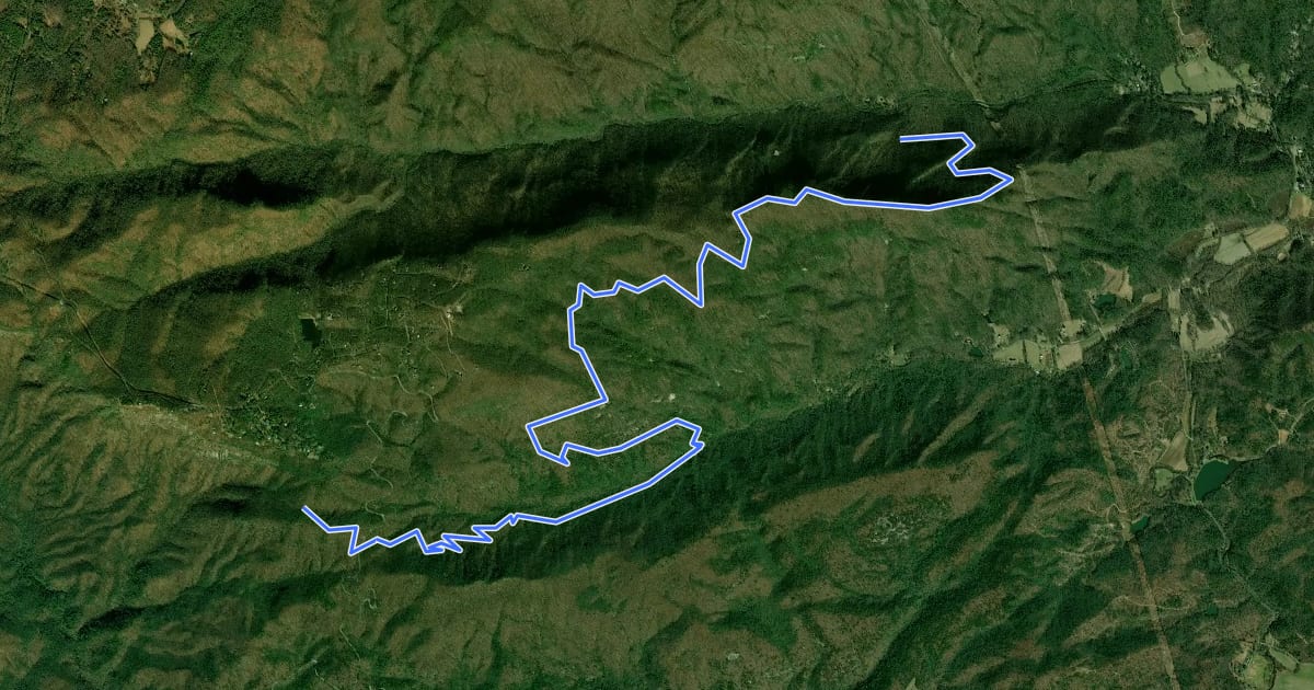 Маршрут Pinnacle Pass Trail на спутниковом снимке