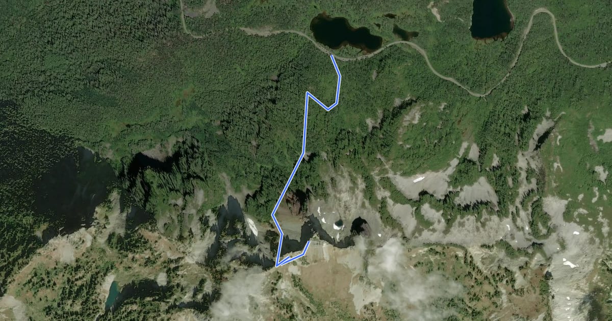 Маршрут Pinnacle Peak Trail на спутниковом снимке