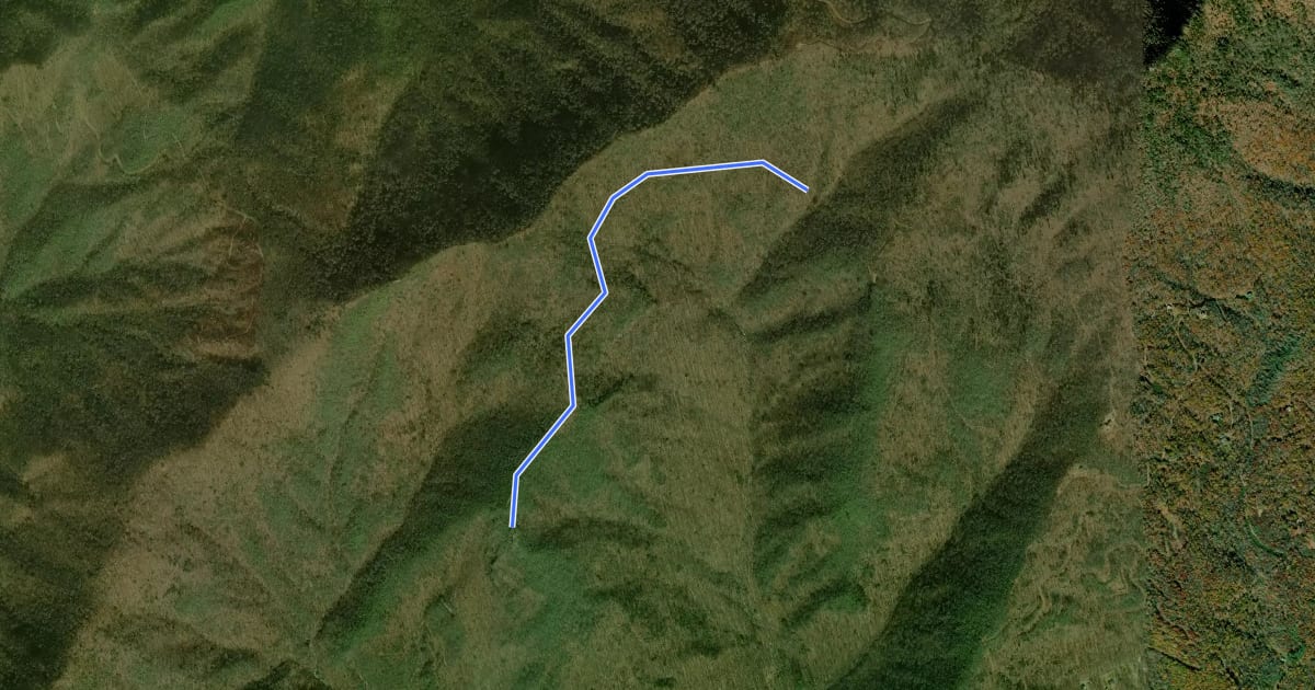 Маршрут Pinnacle Trail на спутниковом снимке