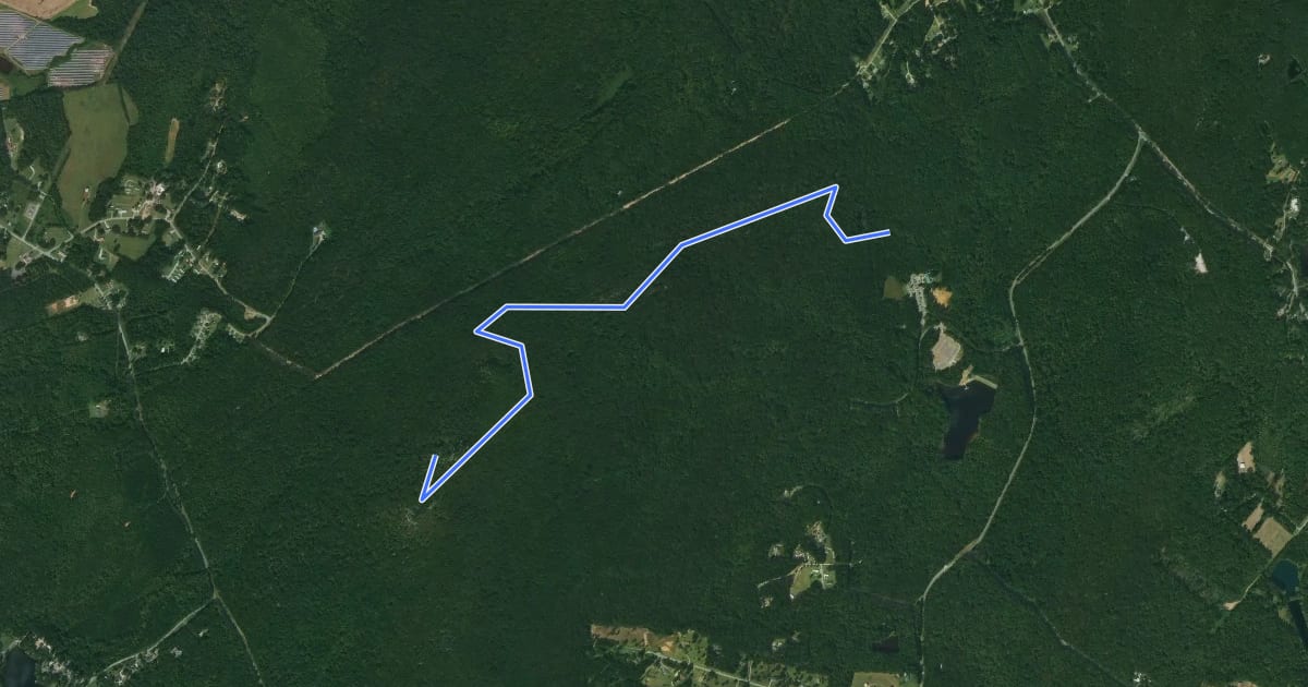 Маршрут Pinnacle Trail на спутниковом снимке