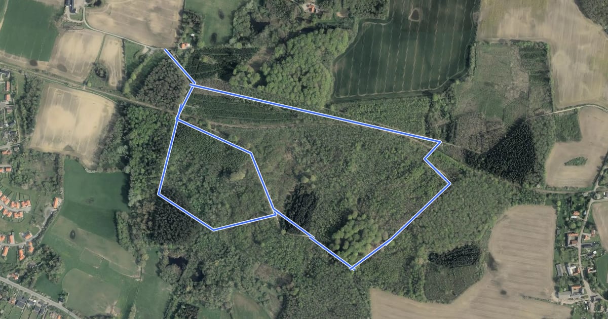 Маршрут Pipstorn Skov на спутниковом снимке