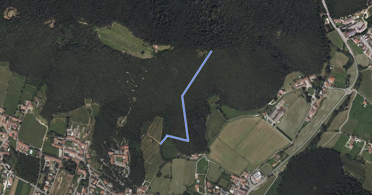 Маршрут Pista Collina del Serpente на спутниковом снимке