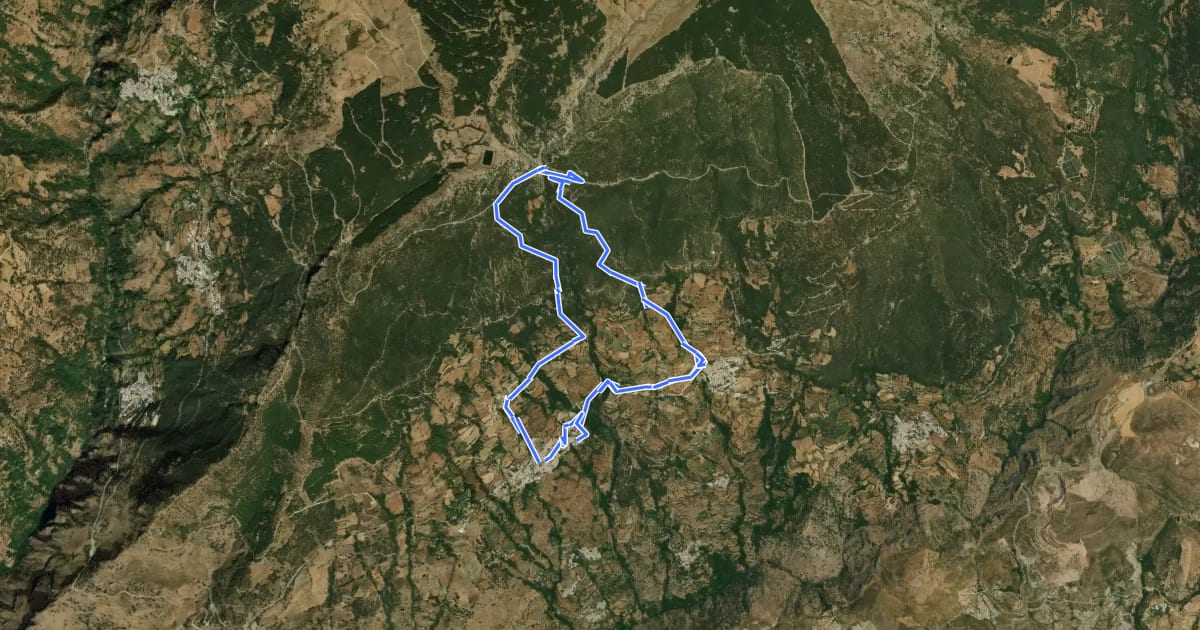 Маршрут Pitres, Acequia Gorda, Área Recreativa, Pórtugos на спутниковом снимке