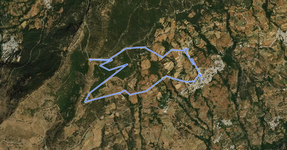 Маршрут Pitres, cruce GR-7, Capilerilla, Pitres на спутниковом снимке