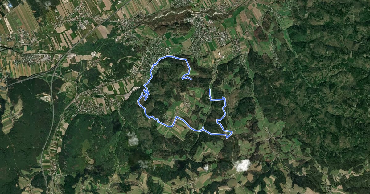 Маршрут Pittental Hochwechsel Rundwanderweg 2 на спутниковом снимке