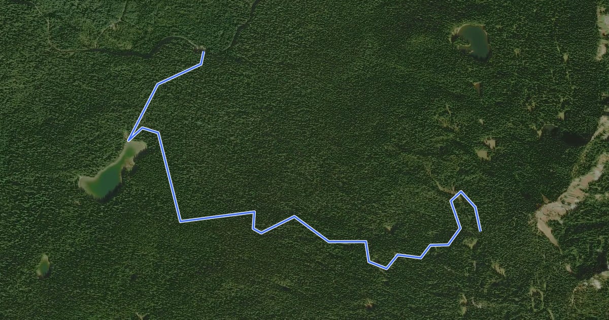 Маршрут Placid Lake Trail #29 на спутниковом снимке