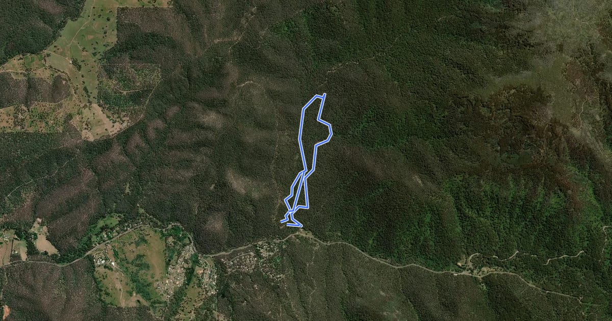 Маршрут Plain Creek Tramway Loop на спутниковом снимке