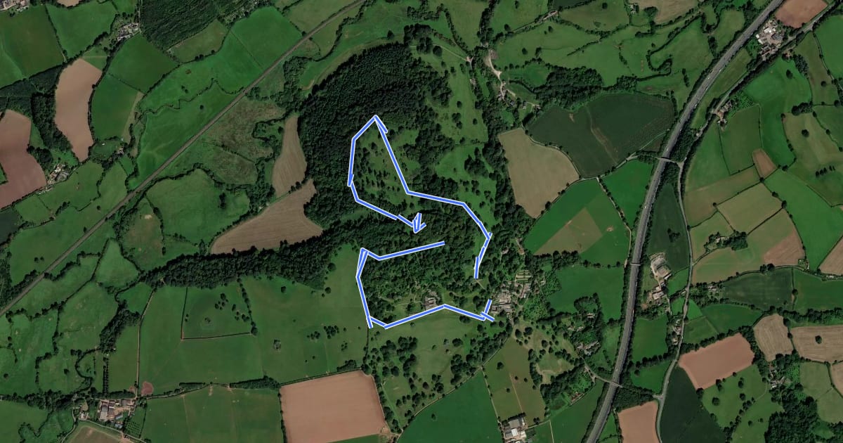 Маршрут Plains Walk, Killerton на спутниковом снимке