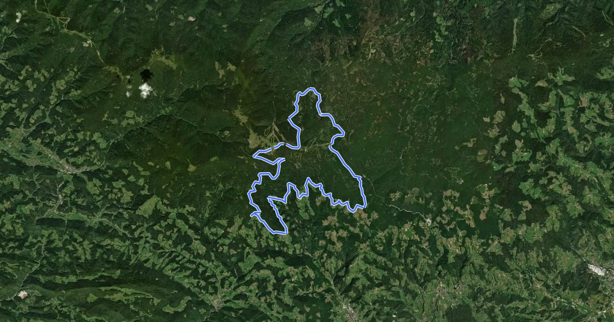 Маршрут Planina na Pohorju на спутниковом снимке