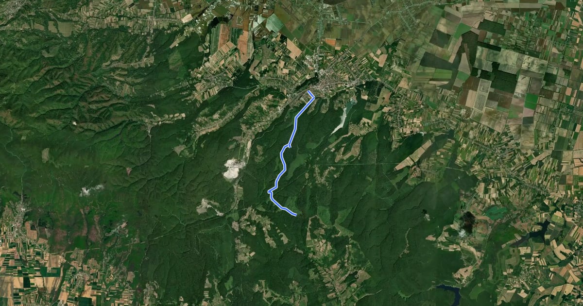 Маршрут Planinarski put 203: Našice - križanje iznad Crne Klade на спутниковом снимке