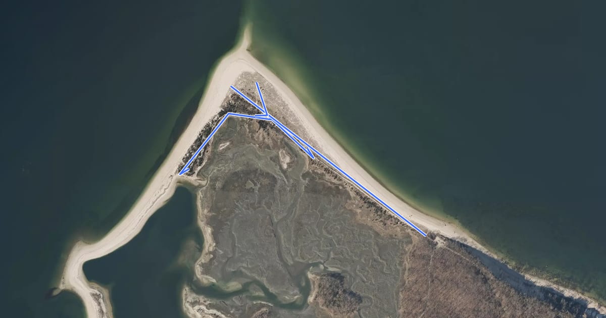 Маршрут Plank Road Trail на спутниковом снимке