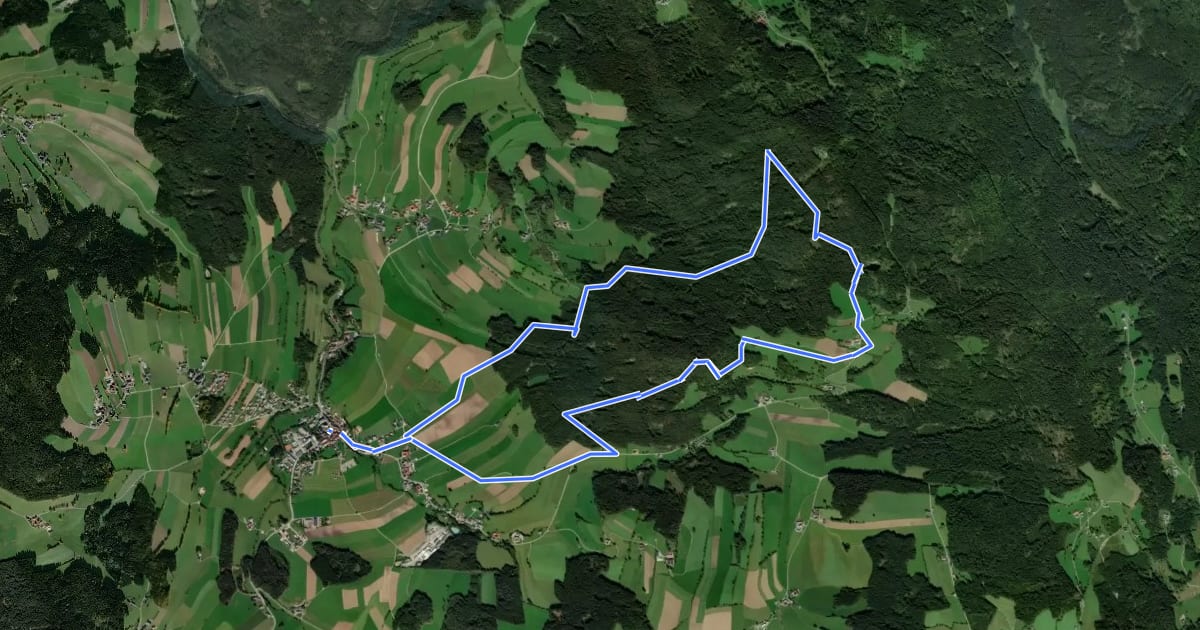 Маршрут Plochwaldrundweg на спутниковом снимке