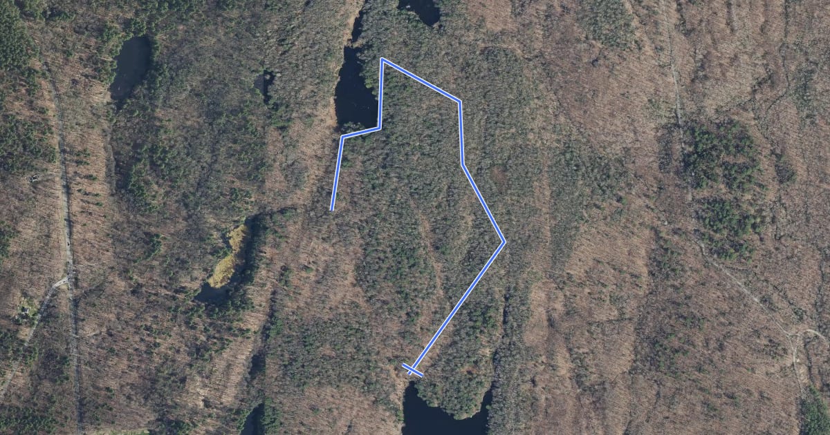 Маршрут Plunge Pool Trail на спутниковом снимке