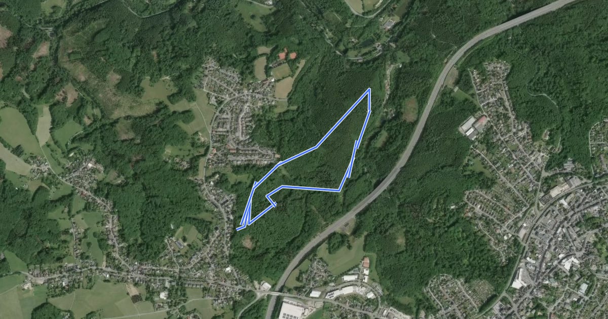 Маршрут Pohlhausen Rundweg A1 на спутниковом снимке
