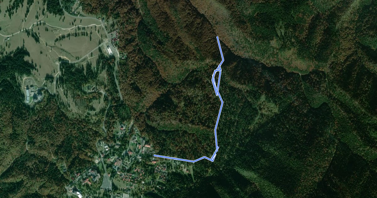 Маршрут Poiana Brașov - Poiana Nisipului - Valea cu Apă на спутниковом снимке