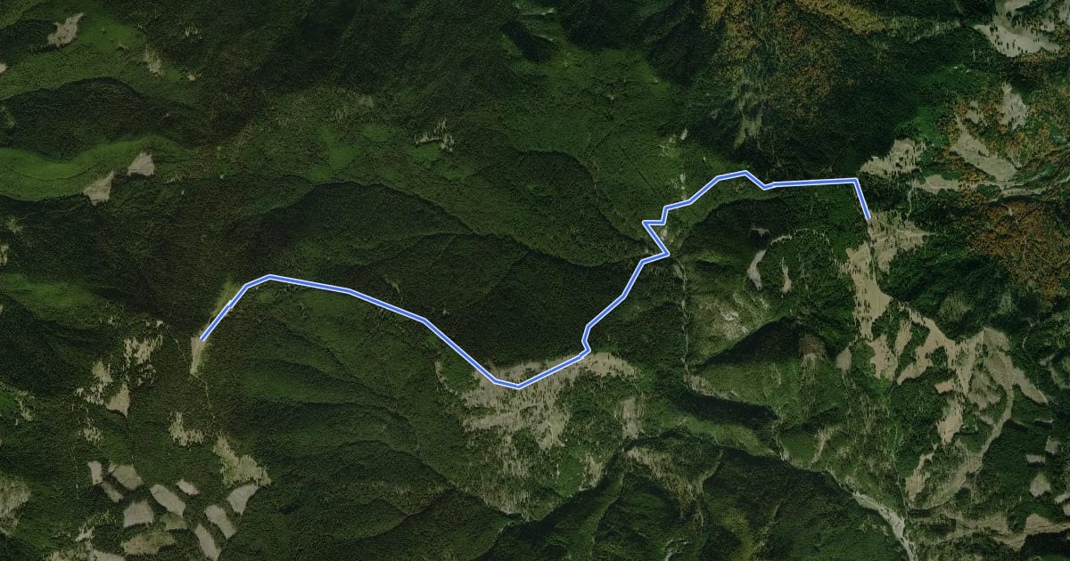 Маршрут Poiana Șindrilita – Valea Zăbăluța – Vîrful Mîrdanu – Vîrful Lăcăuți (blue triangle) на спутниковом снимке