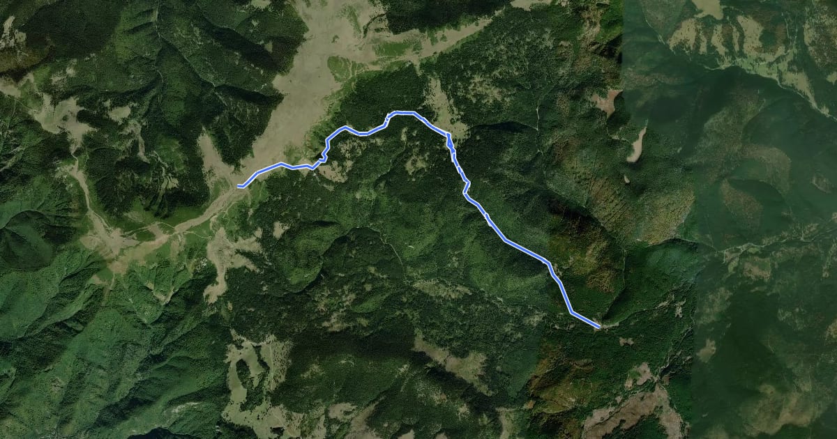 Маршрут Poiana Runcu Ars-P-na Onceasa-Piatra Grăitoare на спутниковом снимке