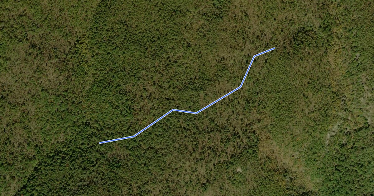 Маршрут Pole Link Bridge Trail на спутниковом снимке