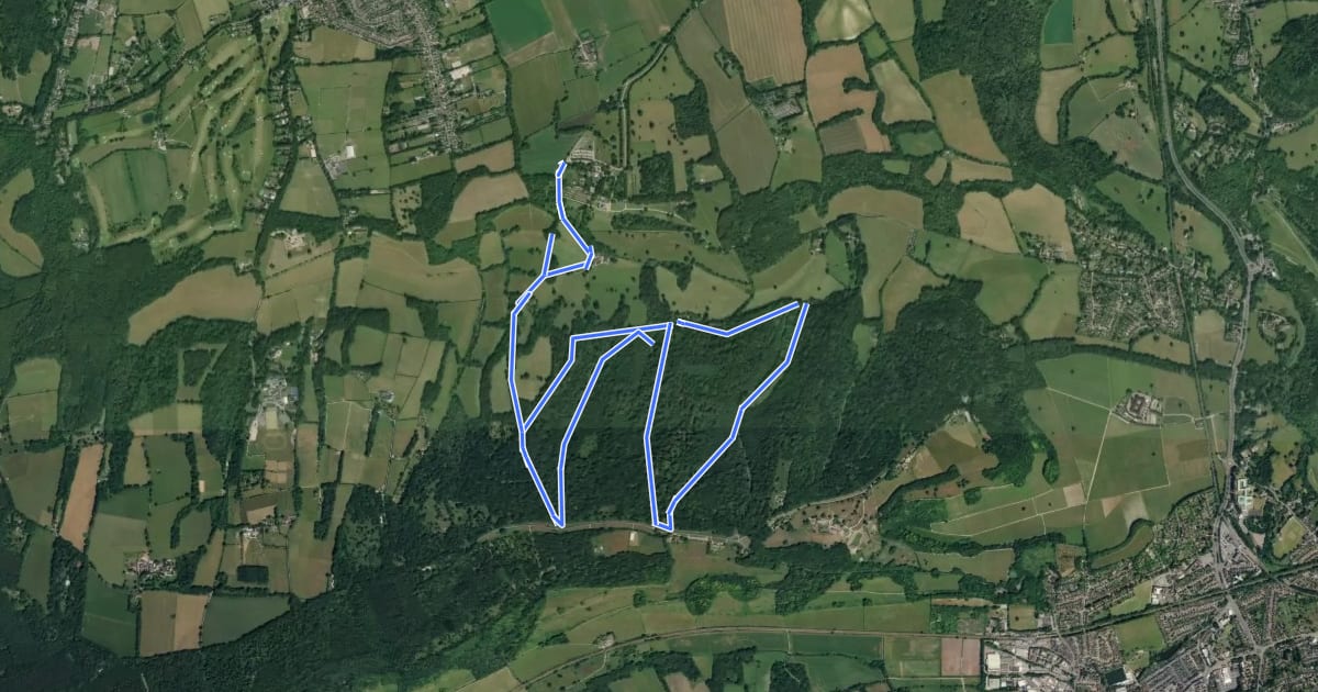 Маршрут Polesden Lacey Ranger Run, Polesden Lacey на спутниковом снимке