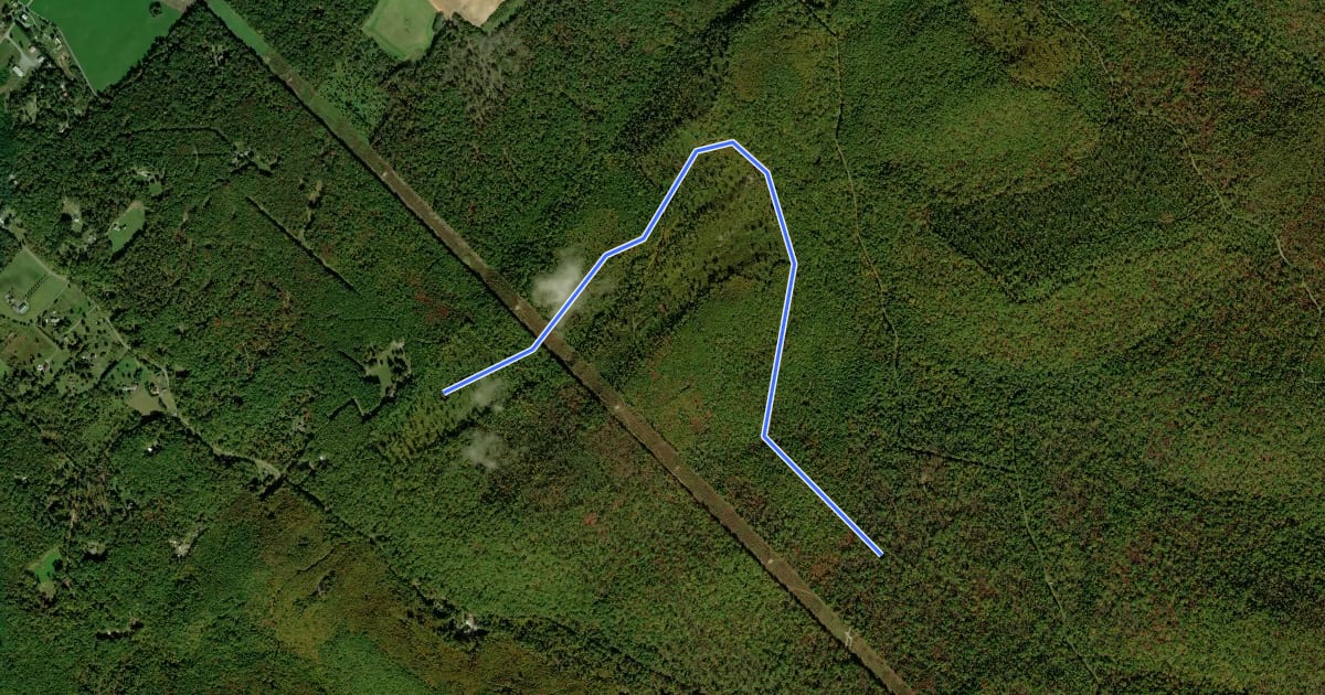 Маршрут Polk Hill Haul Road на спутниковом снимке