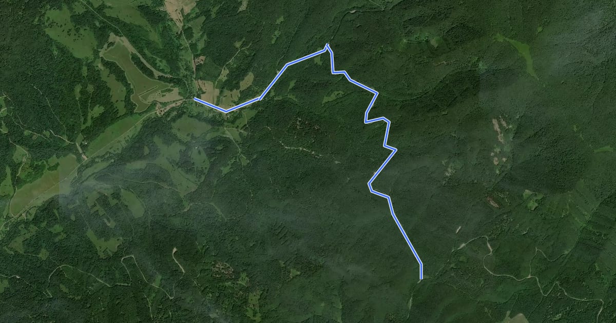 Маршрут Poloniny trail - Medveď на спутниковом снимке