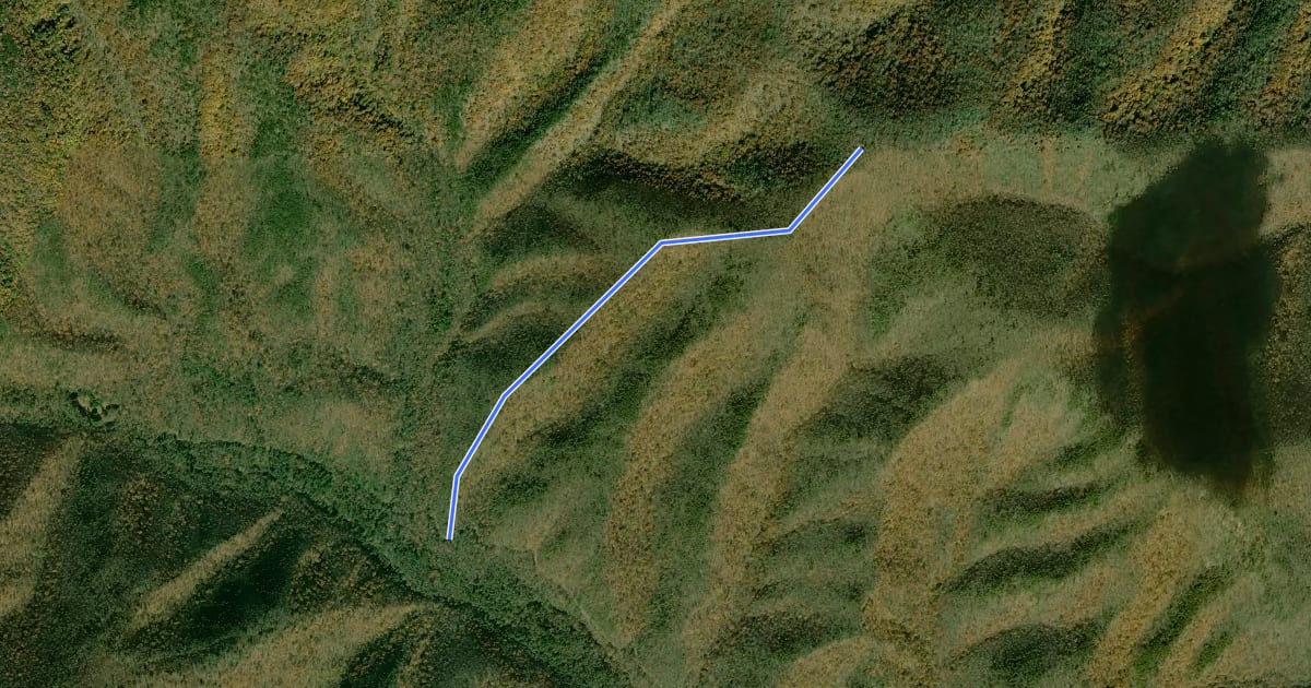 Маршрут Pond Knob Trail на спутниковом снимке