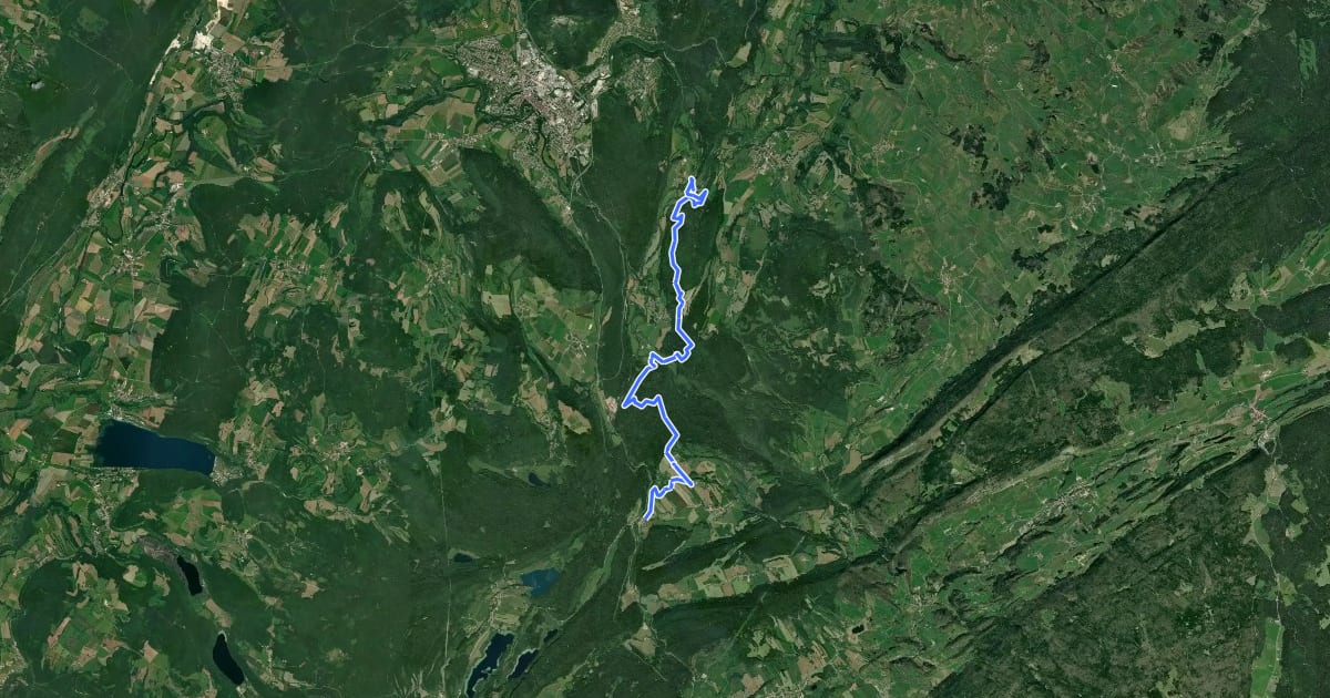 Маршрут Pont de la Chaux - Bourg-de-Sirod на спутниковом снимке
