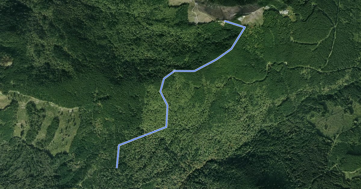 Маршрут Poo Top Trail на спутниковом снимке