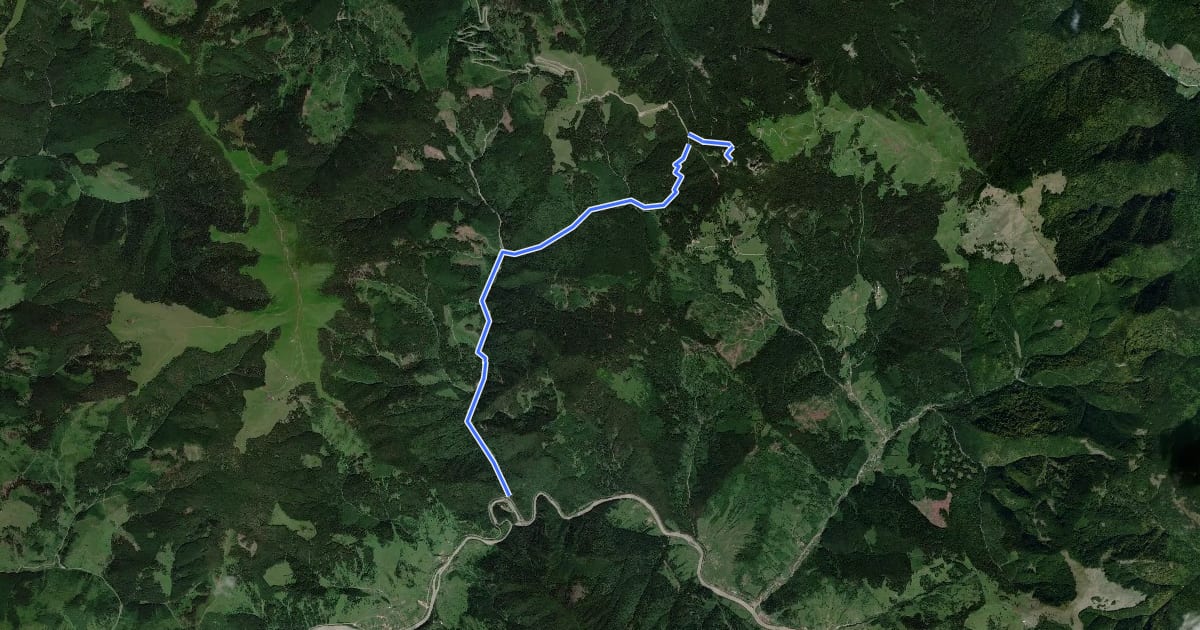 Маршрут popas Zugreni – Hotel Rarău (red triangle) на спутниковом снимке