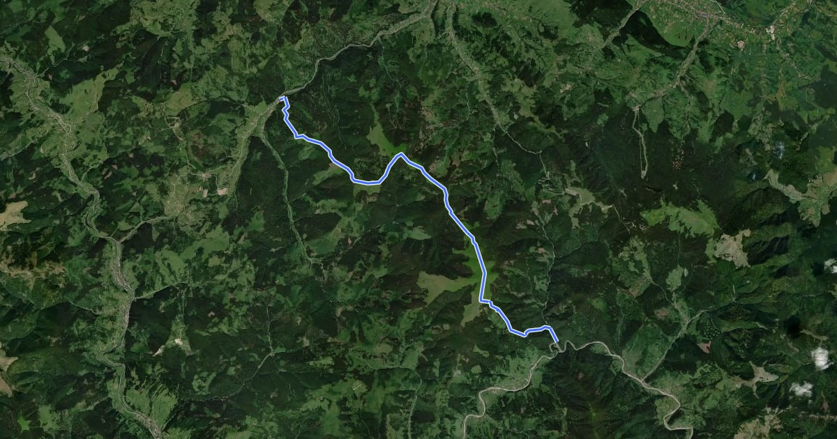 Маршрут Popas Zugreni – Vf. Giumalău – gara Valea Putnei (blue dot) на спутниковом снимке