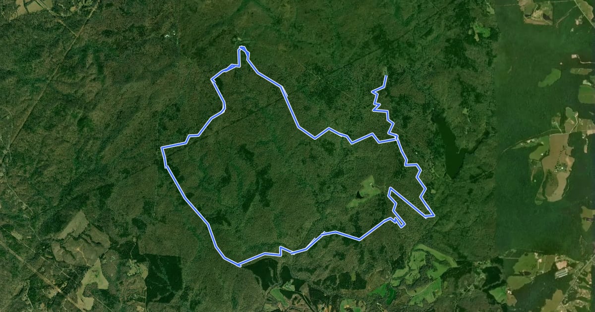 Маршрут Poplar Point Trail на спутниковом снимке