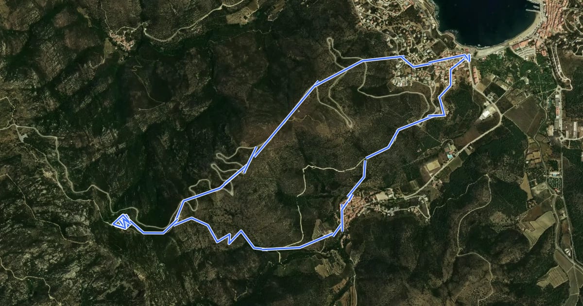Маршрут Port de la Selva a Sant Pere de Rodes i Selva de Mar на спутниковом снимке