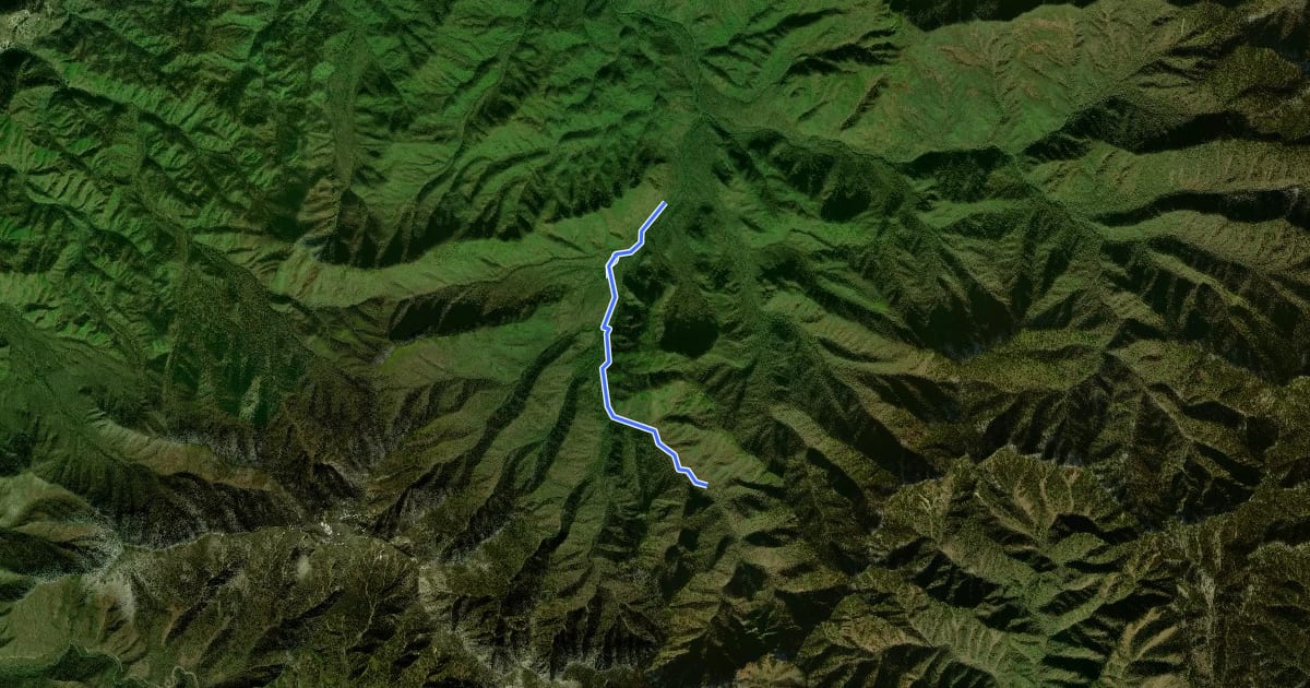Маршрут Porters Creek Trail на спутниковом снимке