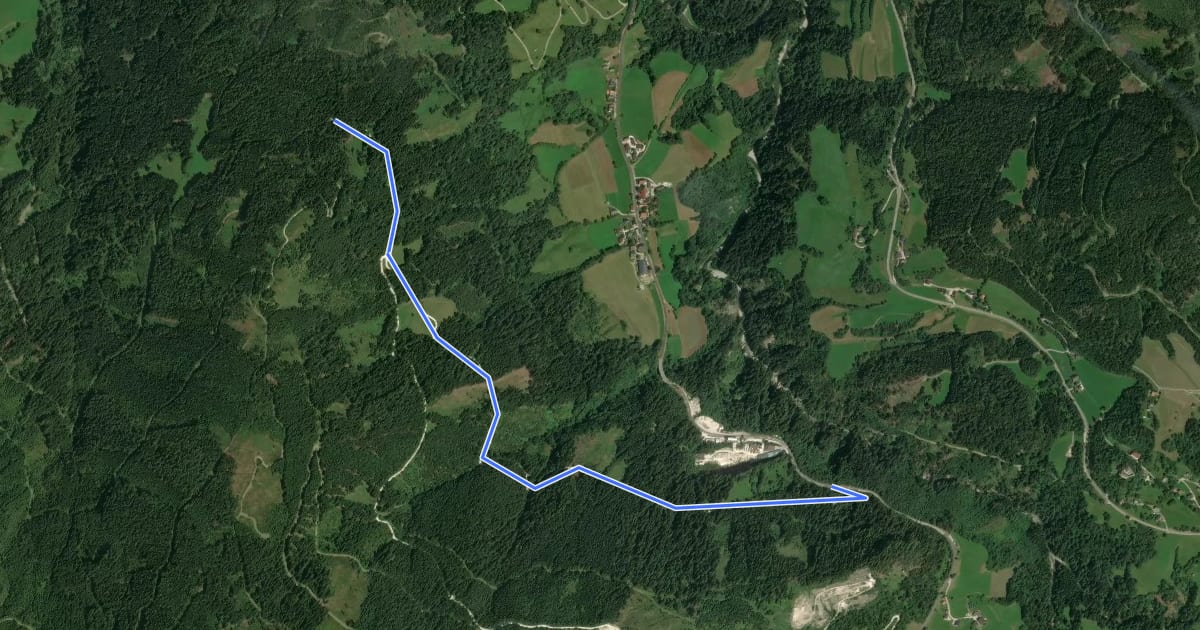 Маршрут Poserwaldwald на спутниковом снимке