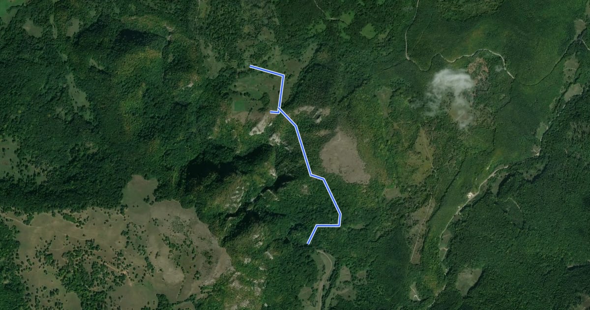 Маршрут Potecile Kőcsűr, Lupilor, Capelei din Cheile Vârghișului на спутниковом снимке