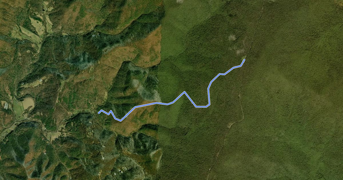 Маршрут Powell Mountain Trail на спутниковом снимке
