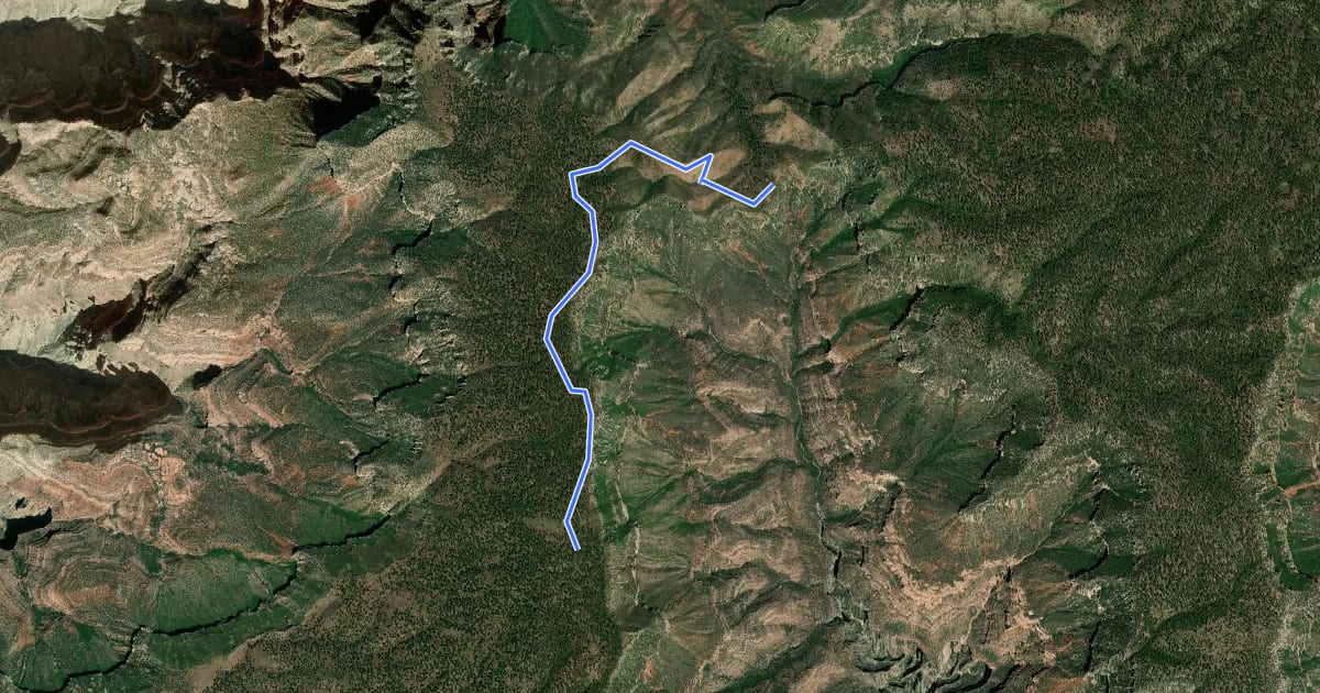 Маршрут Powell Plateau Trail на спутниковом снимке