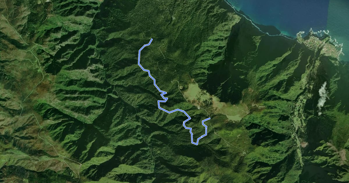 Маршрут PR 14 - Levada dos Cedros на спутниковом снимке