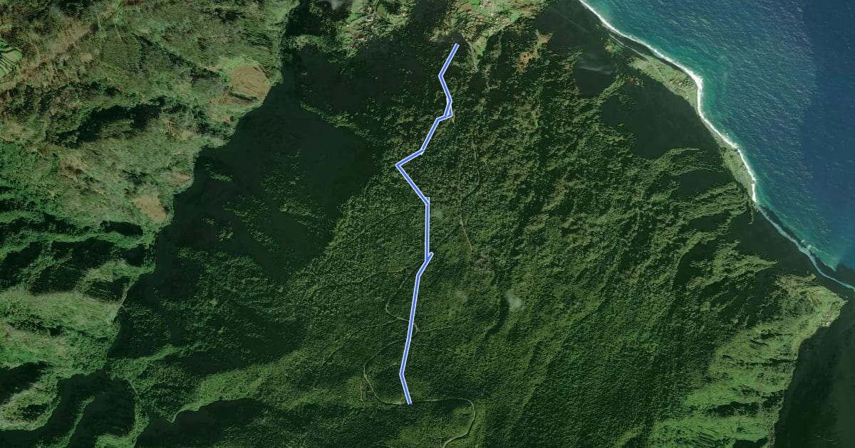 Маршрут PR 15 - Vereda da Ribeira da Janela на спутниковом снимке