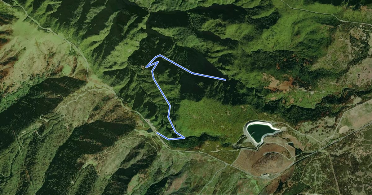 Маршрут PR 6.1 - Levada do Risco на спутниковом снимке