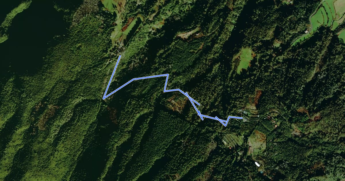 Маршрут PR 9.1 Levada do Caldeirão Verde - Um Caminho para todos на спутниковом снимке