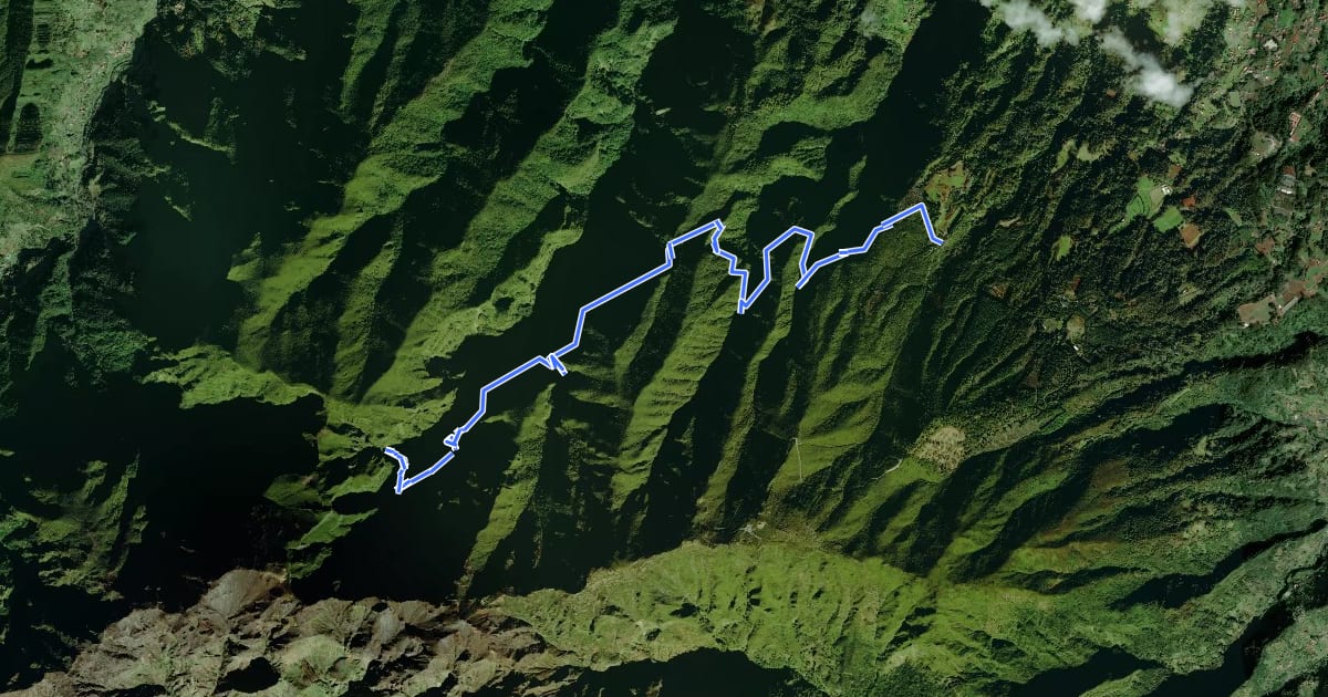 Маршрут PR 9 - Levada do Caldeirão Verde на спутниковом снимке