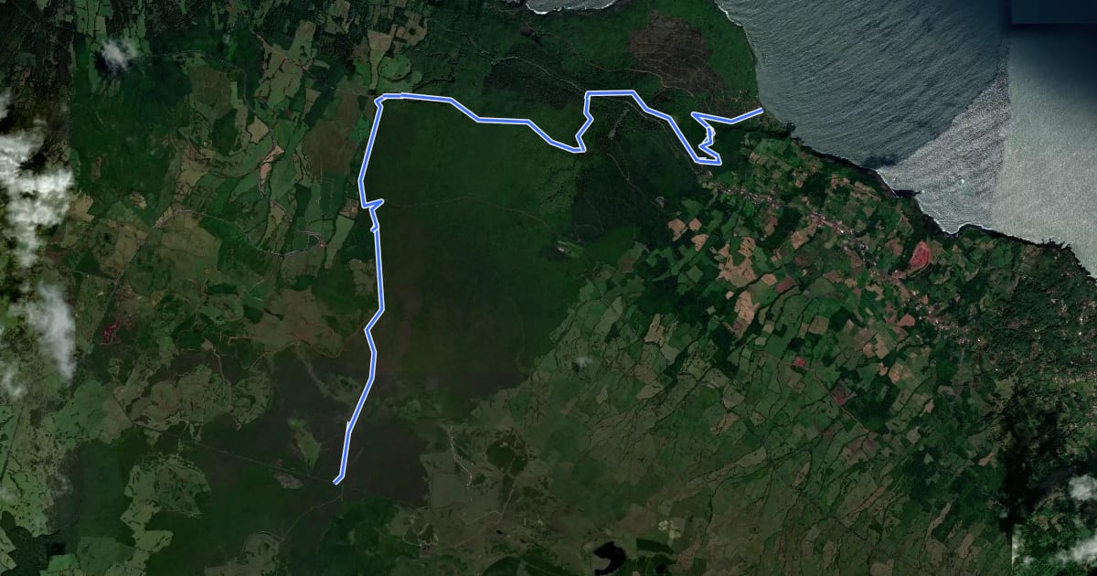Маршрут PR02PIC Caminho dos Burros - Vertente Norte (Termina na Baía de Canas) на спутниковом снимке