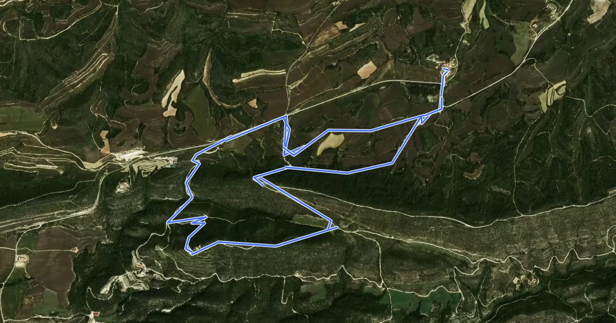 Маршрут Prades de la Molsosa на спутниковом снимке