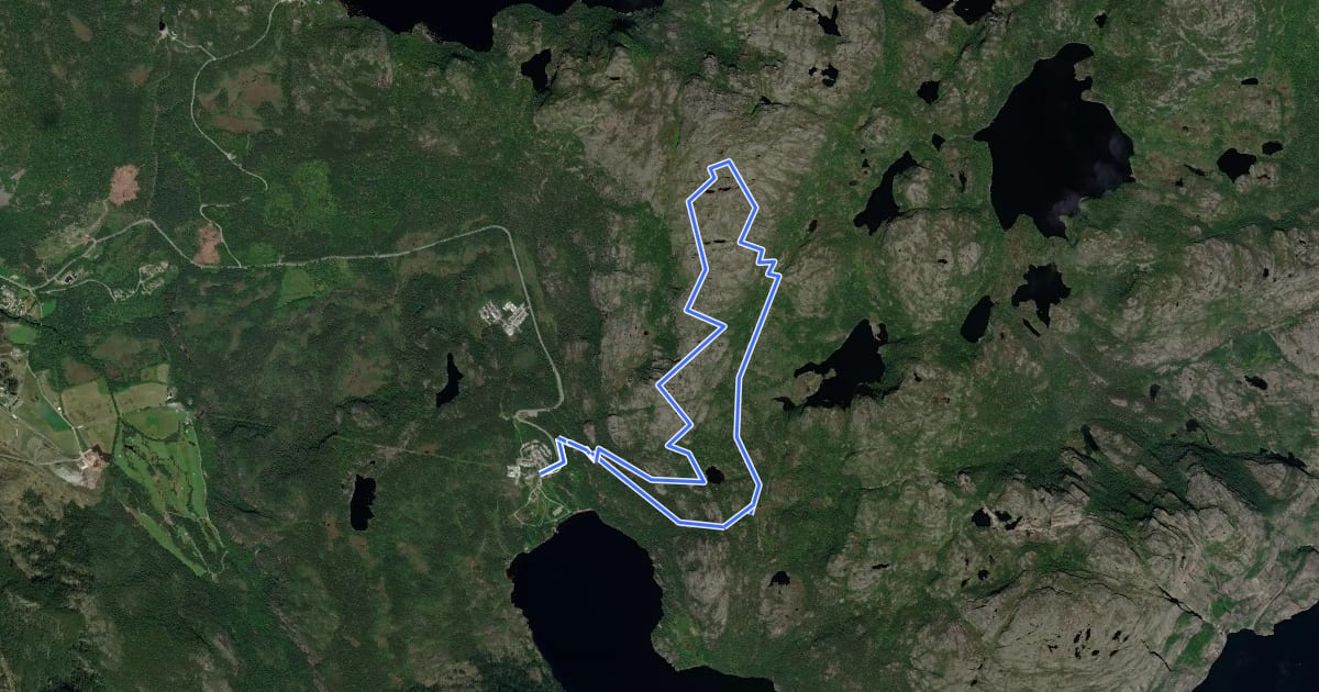 Маршрут Preikestolen BaseCamp – Moslifjellet на спутниковом снимке