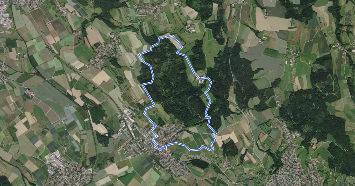 Маршрут Premiumwanderweg Bermatinger Waldwiesen на спутниковом снимке