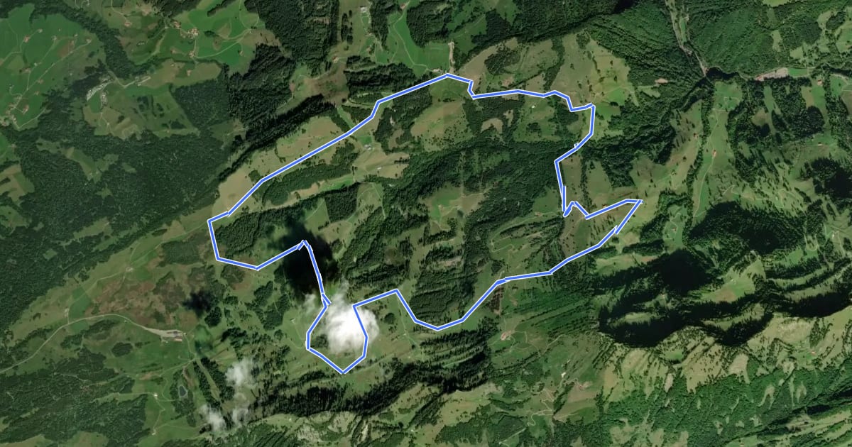 Маршрут Premiumwanderweg Nagelfluhschleife Alpenfreiheit на спутниковом снимке