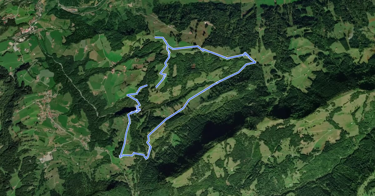 Маршрут Premiumwanderweg Wildes Wasser на спутниковом снимке