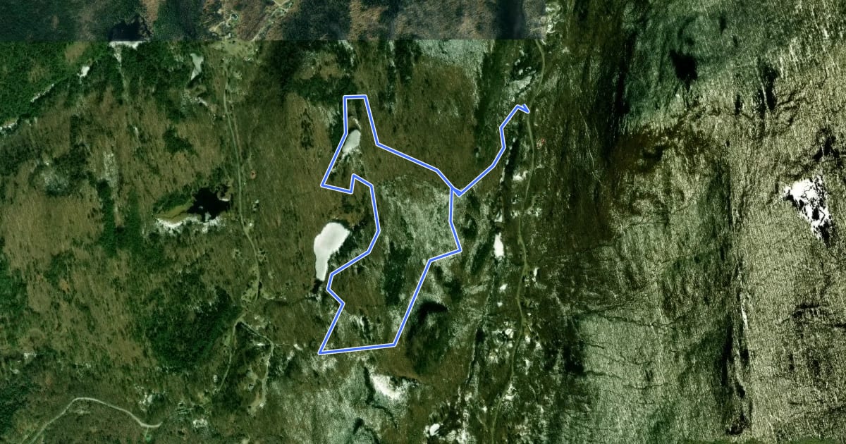 Маршрут Preston Pond Loop на спутниковом снимке